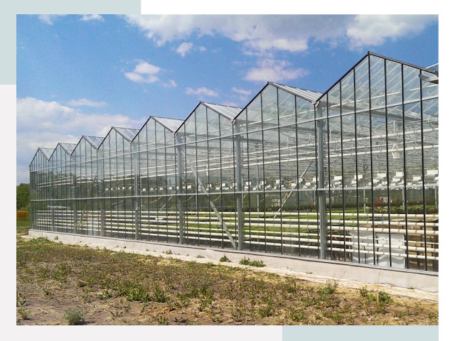 Строительство теплиц в Тверь от 652 руб. за м²