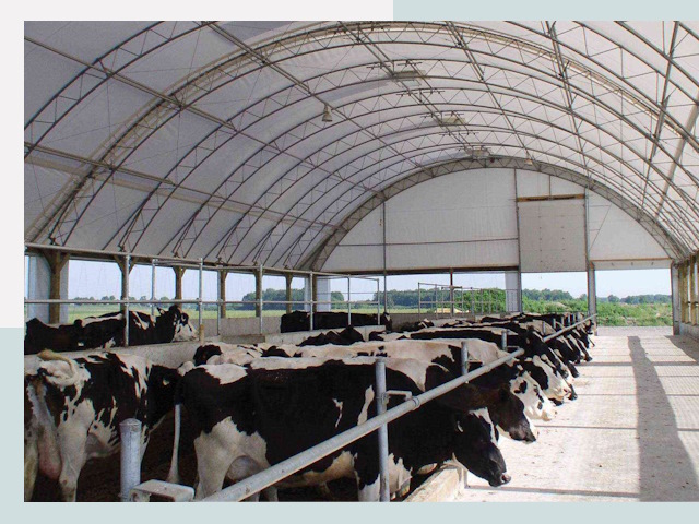 Тентовые коровники в Твери